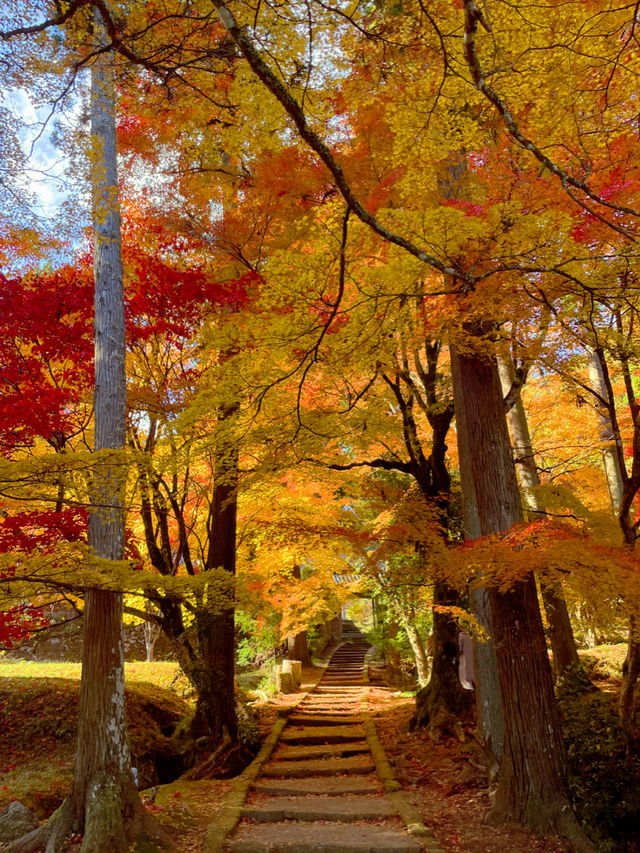京都南丹の美しい紅葉🍁龍穏寺の秋🍁