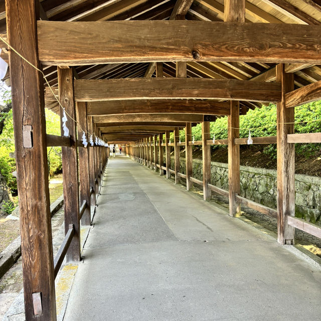 瀨戶內海單車旅行
