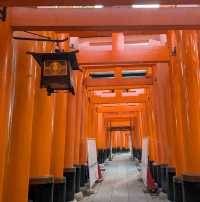 🇯🇵京都「伏見稻荷大社」輕鬆拍出無路人大片！給各位一個早起的理由！