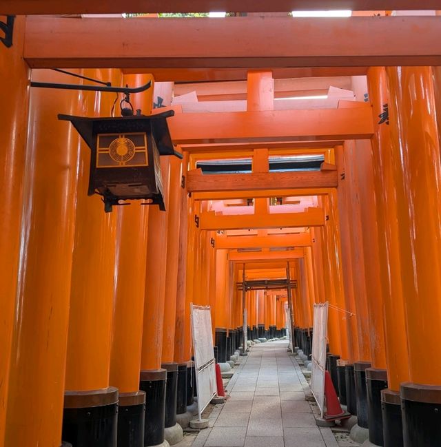 🇯🇵京都「伏見稻荷大社」輕鬆拍出無路人大片！給各位一個早起的理由！