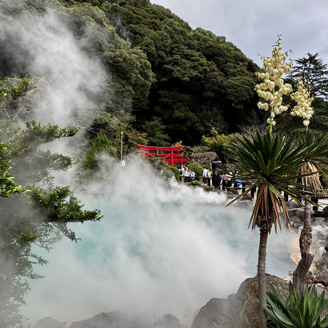 Beppu Hot Springs Hells Tour