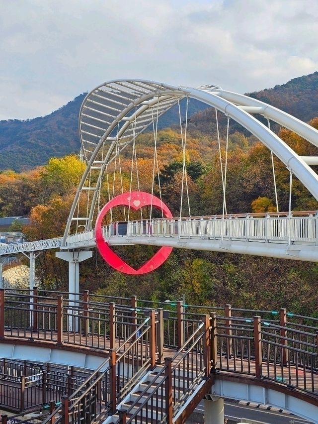탁 트인, 높은 곳에서 보는 대구 전경 