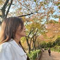 ทะเลสาปซอกชน ในวันใบไม้เปลี่ยนสี 🍁🍂