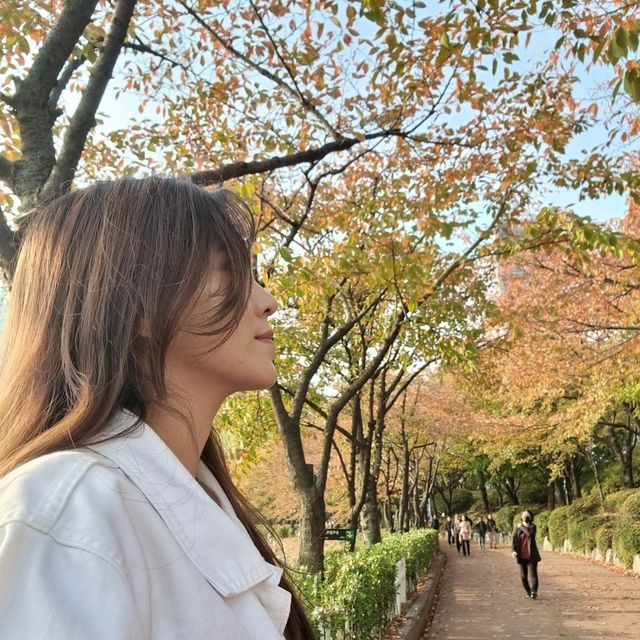 ทะเลสาปซอกชน ในวันใบไม้เปลี่ยนสี 🍁🍂