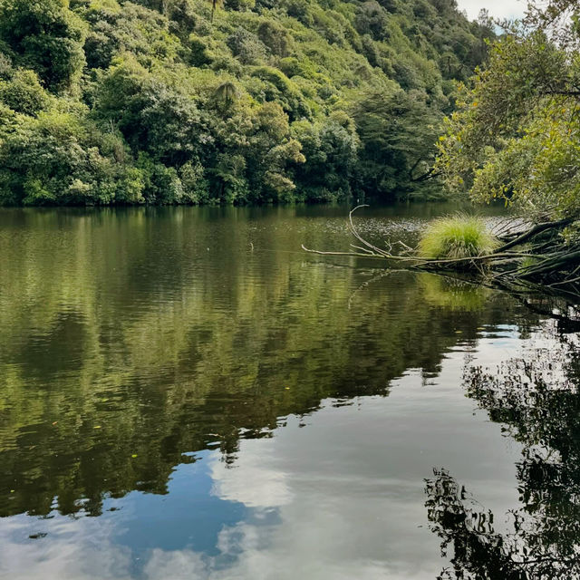 Zealandia Te Māra a Tāne: A Conservation Triumph