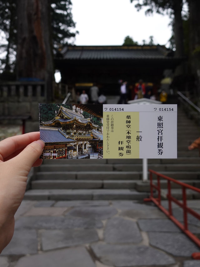 【日光東照宮】歴史と自然が織りなす絶景🇯🇵