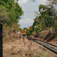 斯里蘭卡Minerriya National Park：人生首次與大象近距離接觸