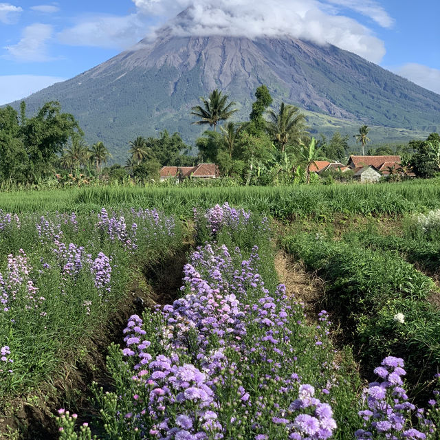 世外桃源塞梅魯火山推薦
