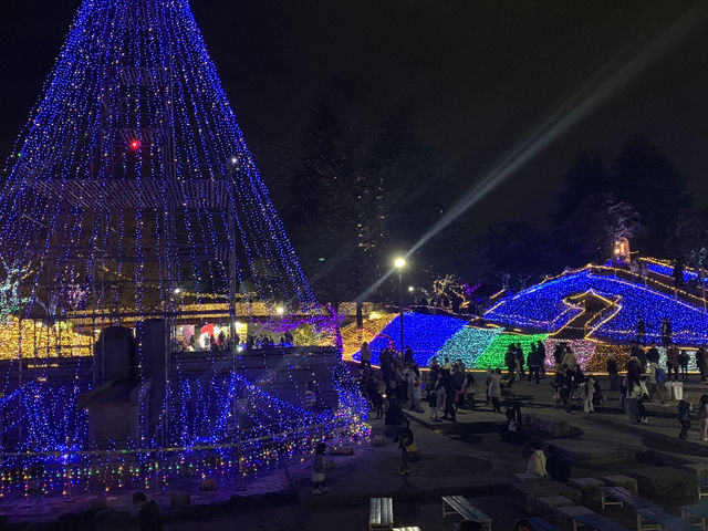 งานประดับไฟ Christmas 🎄 