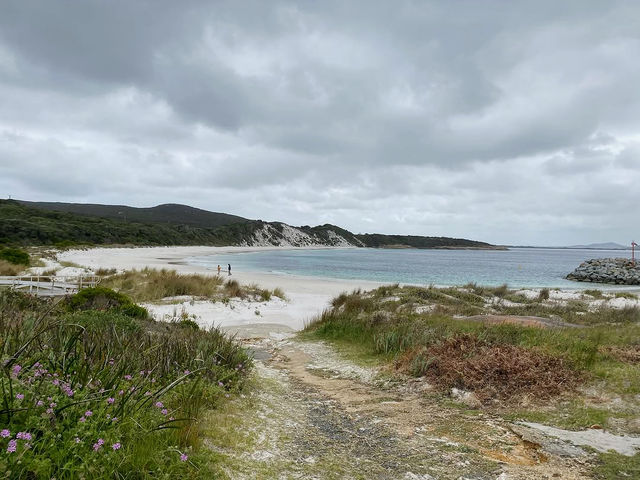 Journey Through Time at Albany’s Historic Whaling Station