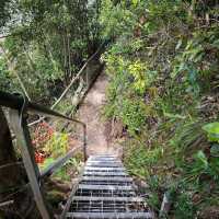 Blue Mountains National Park, New South Wales