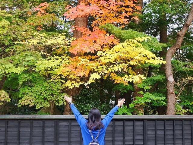 เที่ยว Kakunodate คะคุโนะดาเตะ เมืองซามุไร