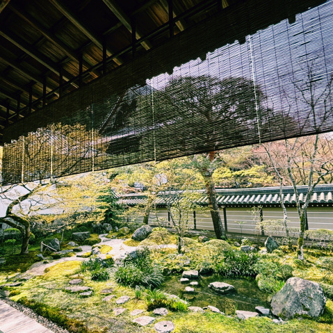 銀閣寺：京都文化的靜謐典範｜Trip.com 京都