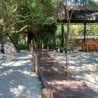 🏰 Within Khaoyai✨️🍰 คาเฟ่สวนหิน