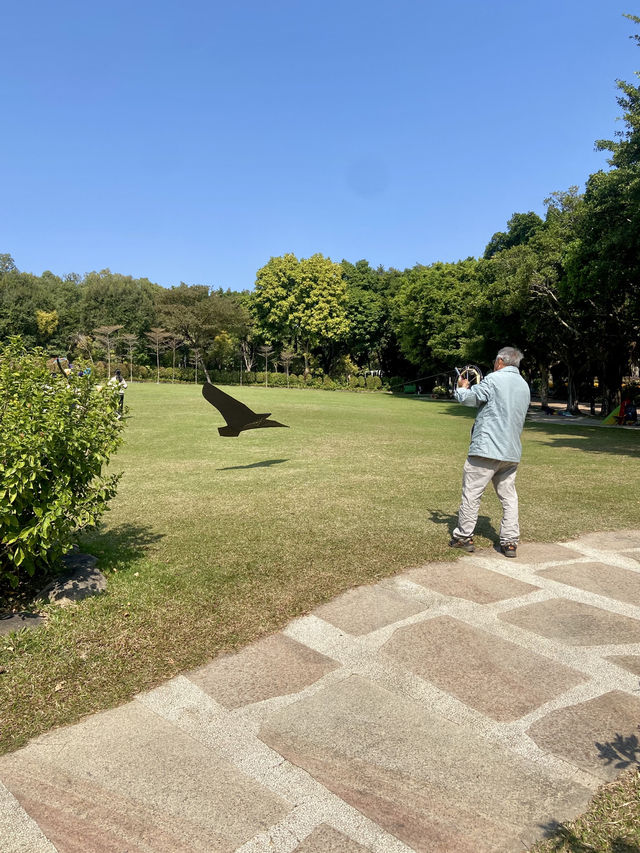 🚶‍♀️‍➡️🌸 人在花叢中｜香港賞花野餐首選海濱公園🥇🌹🌈