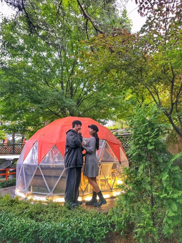 야외정원이 예쁜 무주 역대급 단풍카페🧡