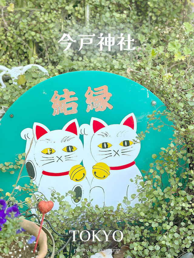 縁結びと招き猫が人気の今戸神社【東京/浅草】