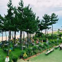 The Coffee Factory with Aesthetic Seaside Ambiance 