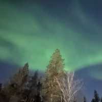 Catching Auroras 