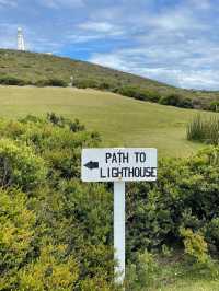 Bruny island