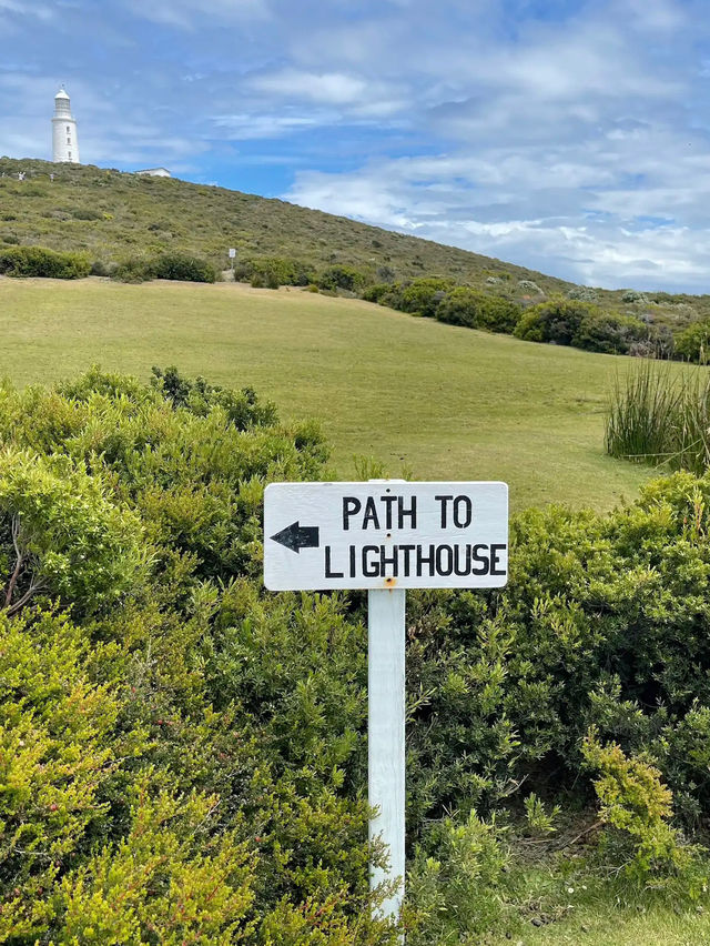 Bruny island