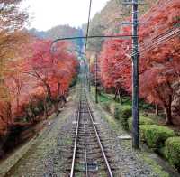 Journey Through Nature and Tradition: My Hike to Mount Takao, Japan