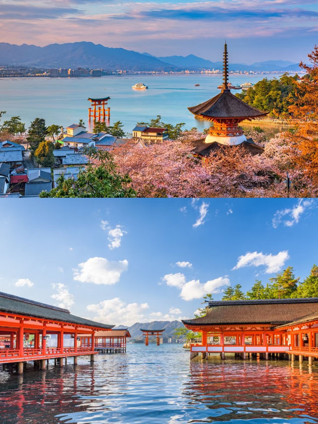 平價日本旅行路線✈️