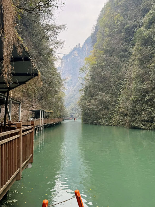 Thrill-Seeking at Zhangjiajie Grand Canyon Glass Bridge 