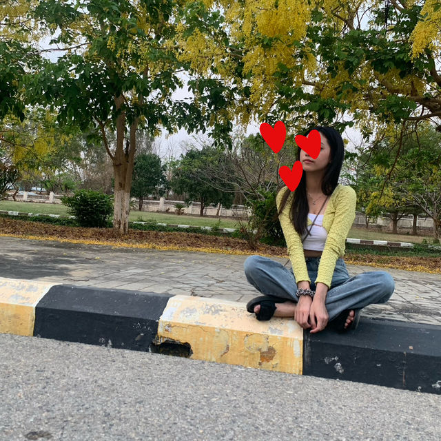 The Yellow Streets of Hotel Zone Nay Pyi Taw 🌼🌿