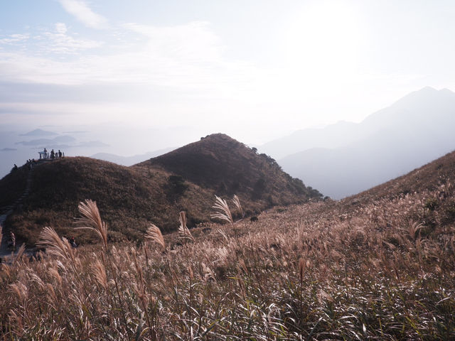 最美日落路線：大東山 