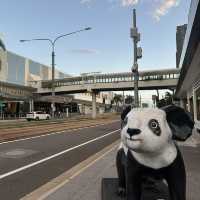 黃金海岸有日本街道的地方在這裡！