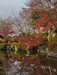 First Snowfall at Kiyomizudera: A Magical Winter Scene with Rainbow and Sunset