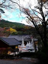 韓國大邱_秋意必訪 桐華寺Donghwasa Temple