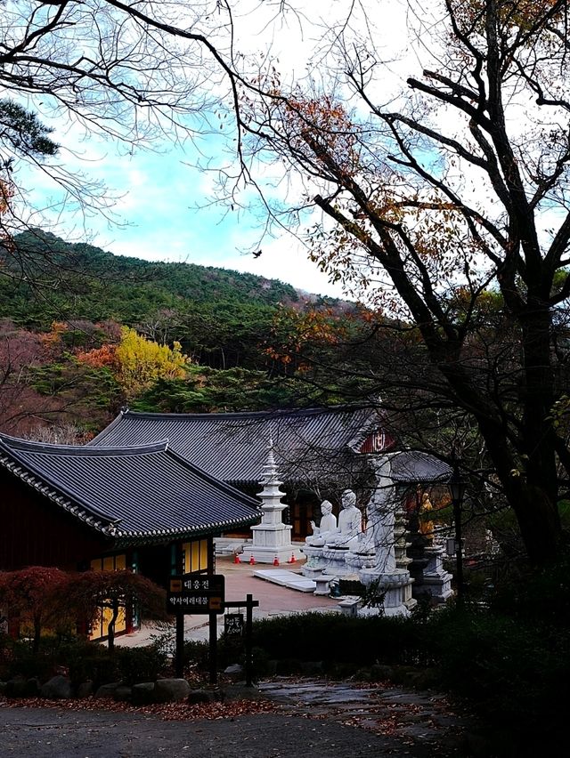 韓國大邱_秋意必訪 桐華寺Donghwasa Temple