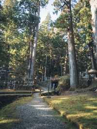 紅葉に包まれる高野山奥之院で神秘の秋を体感