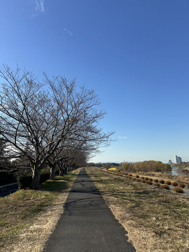📍多摩川河川敷/東京