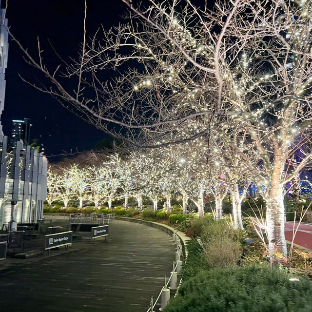 A Magical Holiday Experience: Christmas Illuminations in Tokyo
