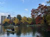 札幌市區賞楓景點～中島公園