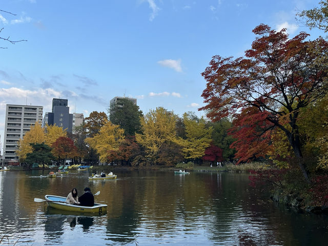 札幌市區賞楓景點～中島公園