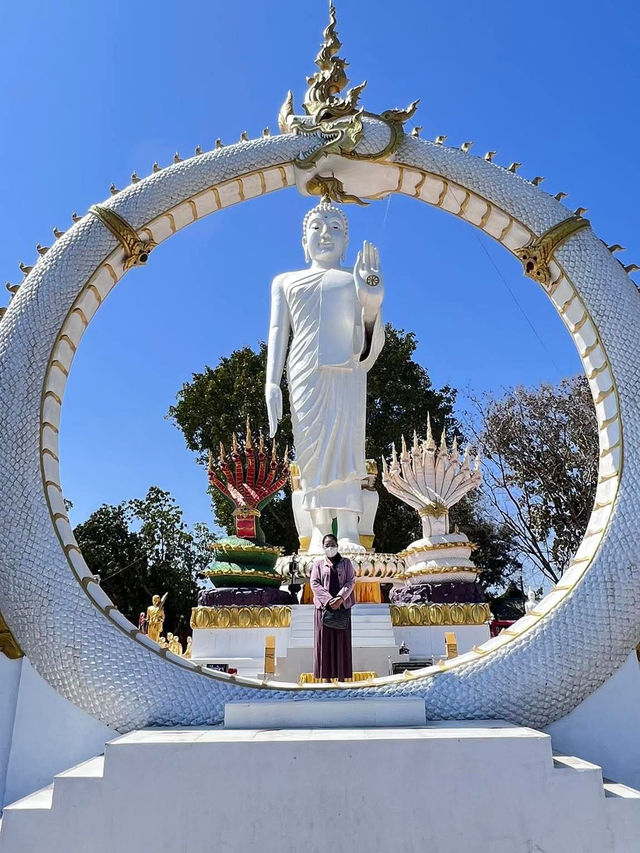 พญานาคประทานพร วัดหัวเวียงรังษี ธาตุพนม