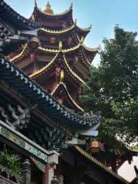 ✨Quick City hop from Chengdu