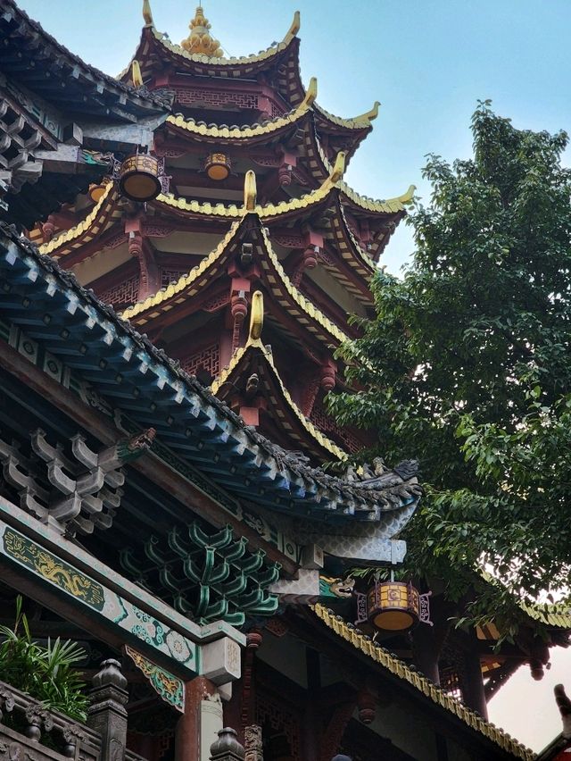 ✨Quick City hop from Chengdu