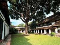 200年的樹@Tamarind Village