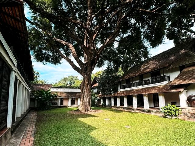 200年的樹@Tamarind Village