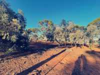 Hammond Park- Natures beauty of Kalgoorlie