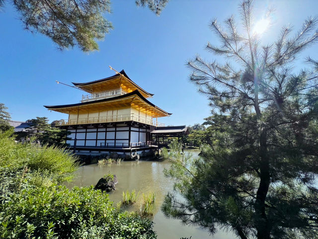 The Golden Pavilion: Kyoto’s Majestic Treasure