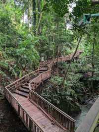 Ubud Monkey Forest