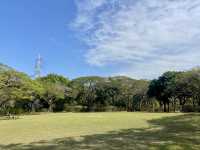 週末好去處🔥如非洲草原般的深圳「東湖公園」🌴🏞️