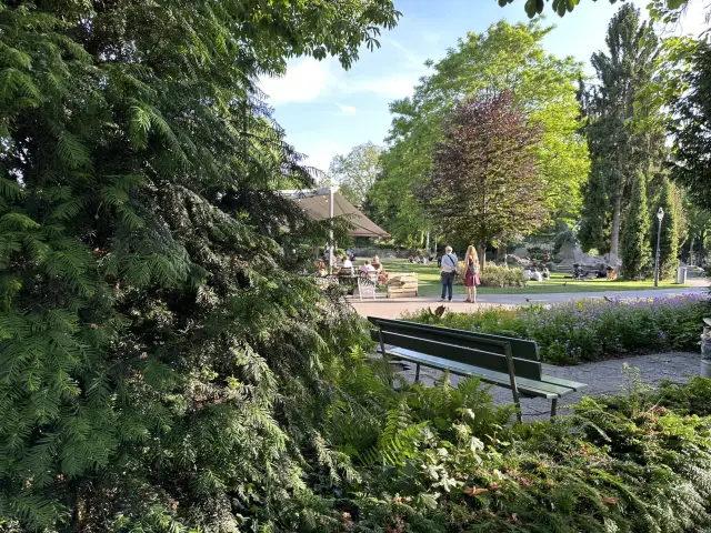 夏の季節に美しいスポット