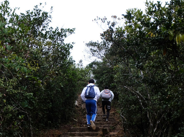 Conquer the Ridge: Hiking Hong Kong’s Stunning Dragon’s Back